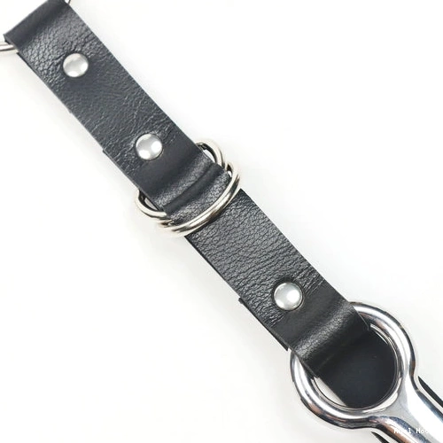 EverydayUse Collar Kinky Hook 5853 with and Leash Anal 0926